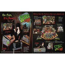 Scared Stiff Flyer